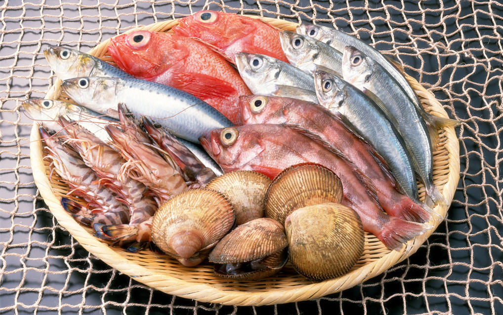 冰鲜海鲜冷库造价,5000平方米冷冻库总投资多少