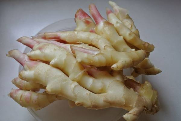 3000吨鲜姜冷库前期规划，冷库造价预算多少