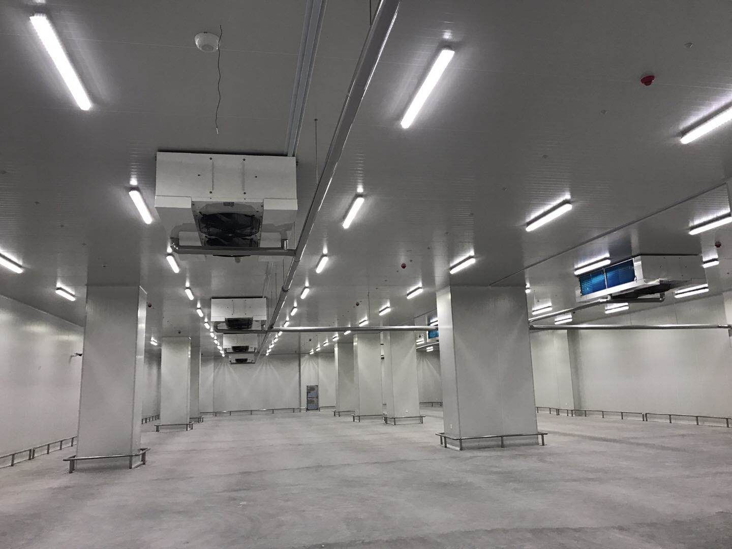 农贸市场建造2000平米食品冷库，冷库造价有哪些费用