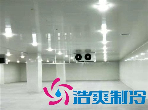 1000吨农产品冷库