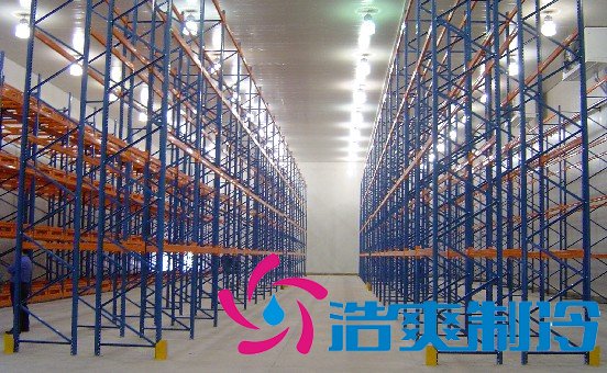 地下室建造5000平米冷库出租，冷库总成本是多少