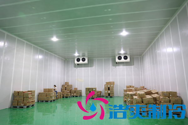 1000平米雪糕冷库(冰淇淋冷冻库)建造多少钱一平米