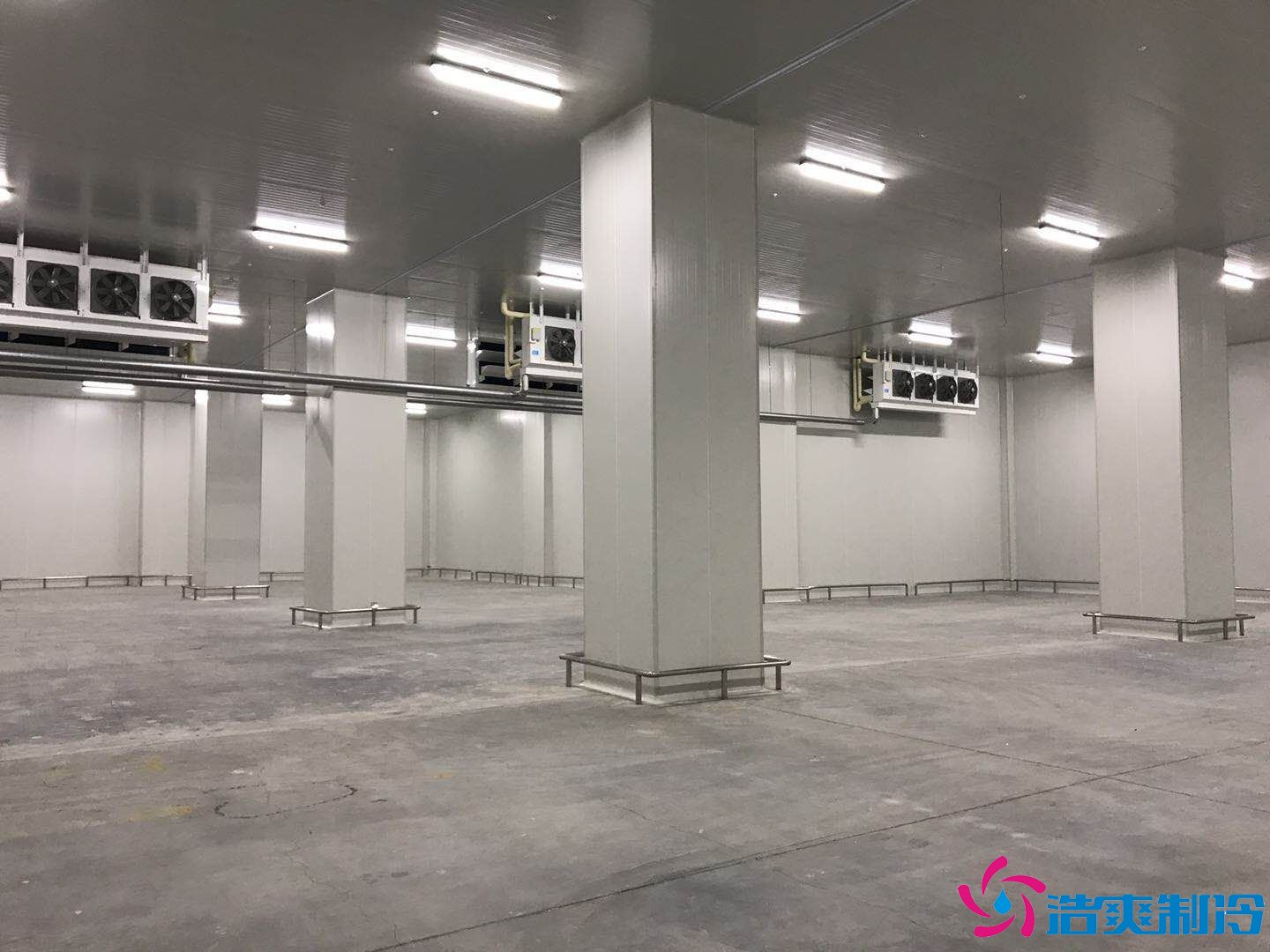 2000平米生鲜食品物流冷库(生鲜冷链仓储)冷库报价