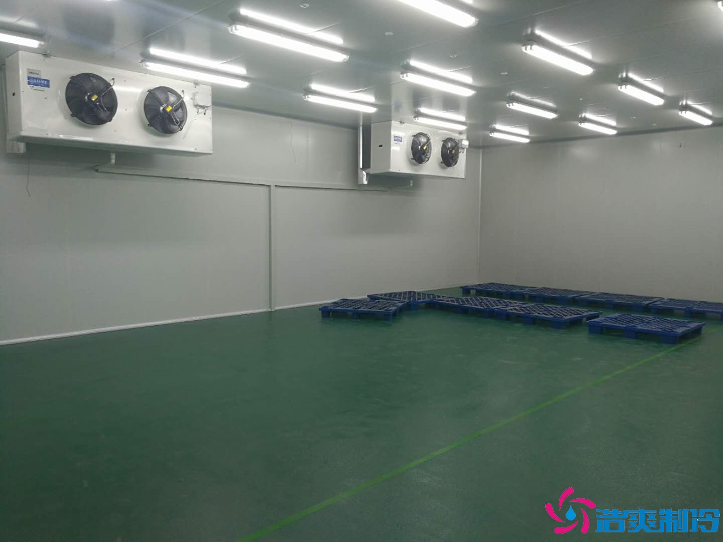 沈阳三生制药3000平米低温（冷冻、冷藏）医药物流冷库工程案例