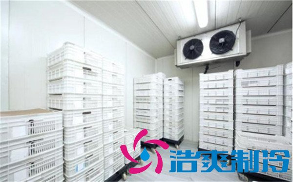 上海速冻包子/水饺冷库(-30℃)