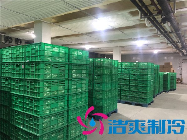 上海速冻包子/水饺冷库(-30℃)