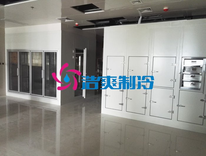 低温血浆冷藏库，gsp冷库