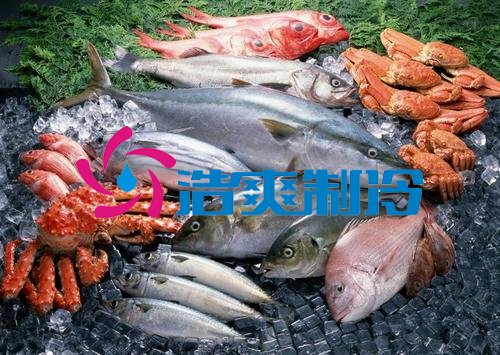 浩爽制冷，海鲜冷冻库、食品冷冻库