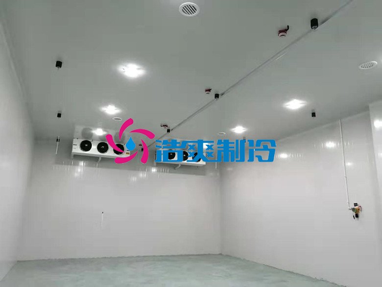 浩爽制冷，巧克力冷藏库