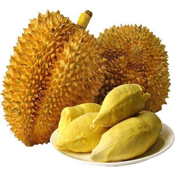 榴莲低温速冻库